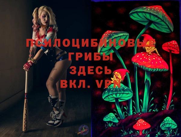 мескалин Гусев