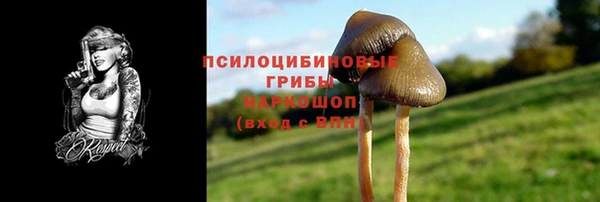 экстази Дмитриев