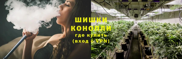 мескалин Гусев